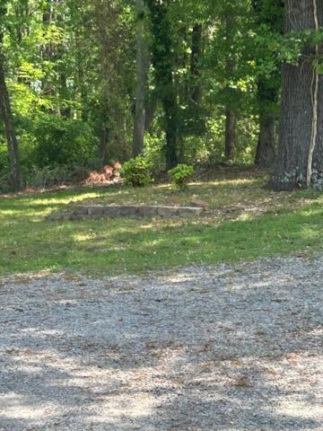 Serene Retreat! 420 Friendly In Designated Area, 3 Minutes To Downtown Richmond Exterior foto